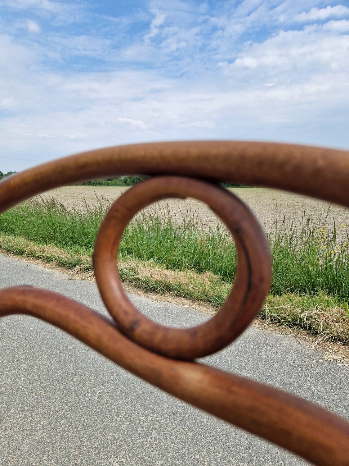 Curved wooden chair n31 from Thonet 1900