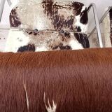 Set of 4 vintage Cucroma armchairs – Guido Faleschini – leather