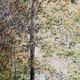 Landscape painting oil on canvas signed