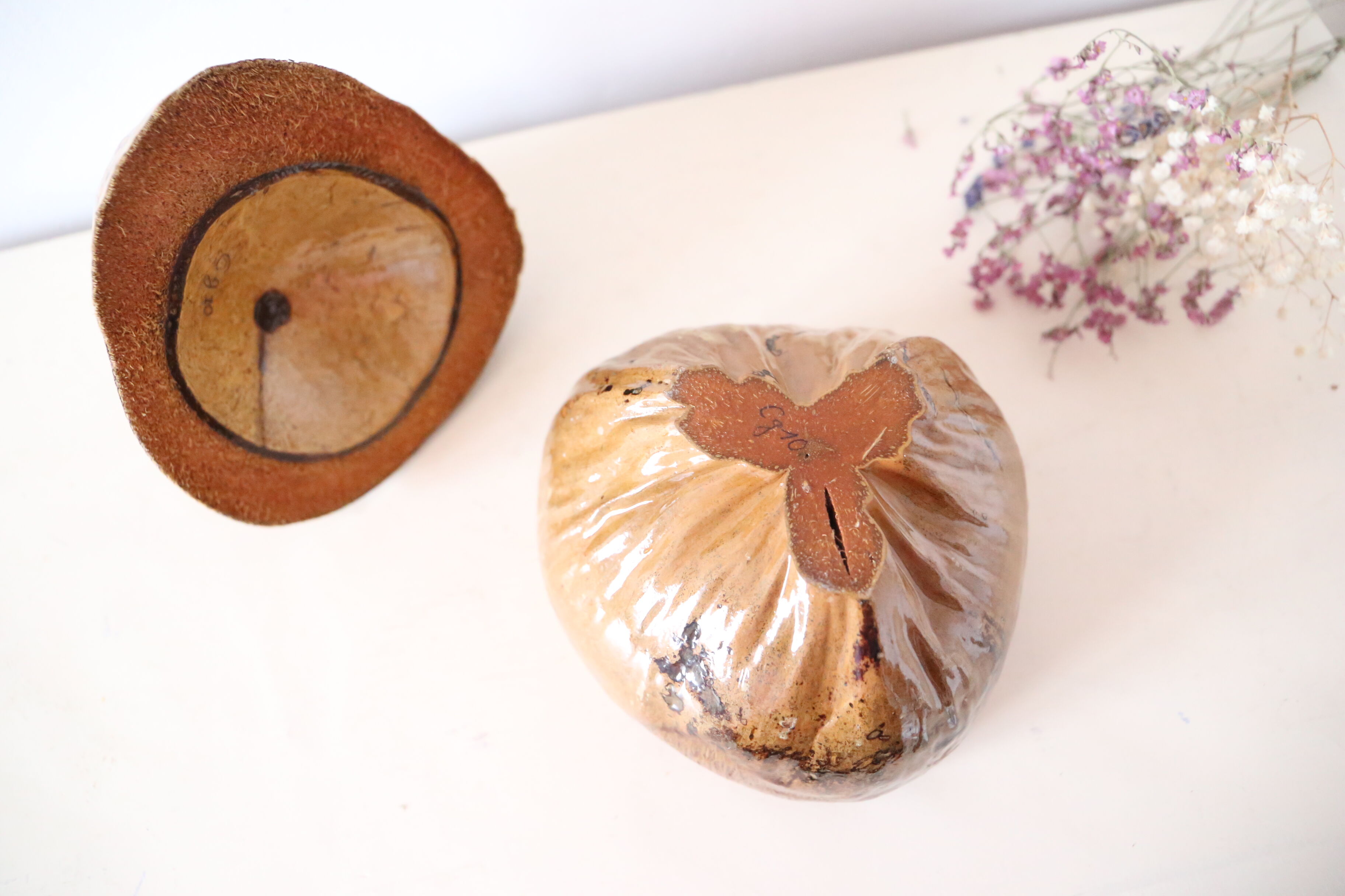 Ice bucket, or pretty coconut box, nature decoration, exotic