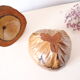 Ice bucket, or pretty coconut box, nature decoration, exotic