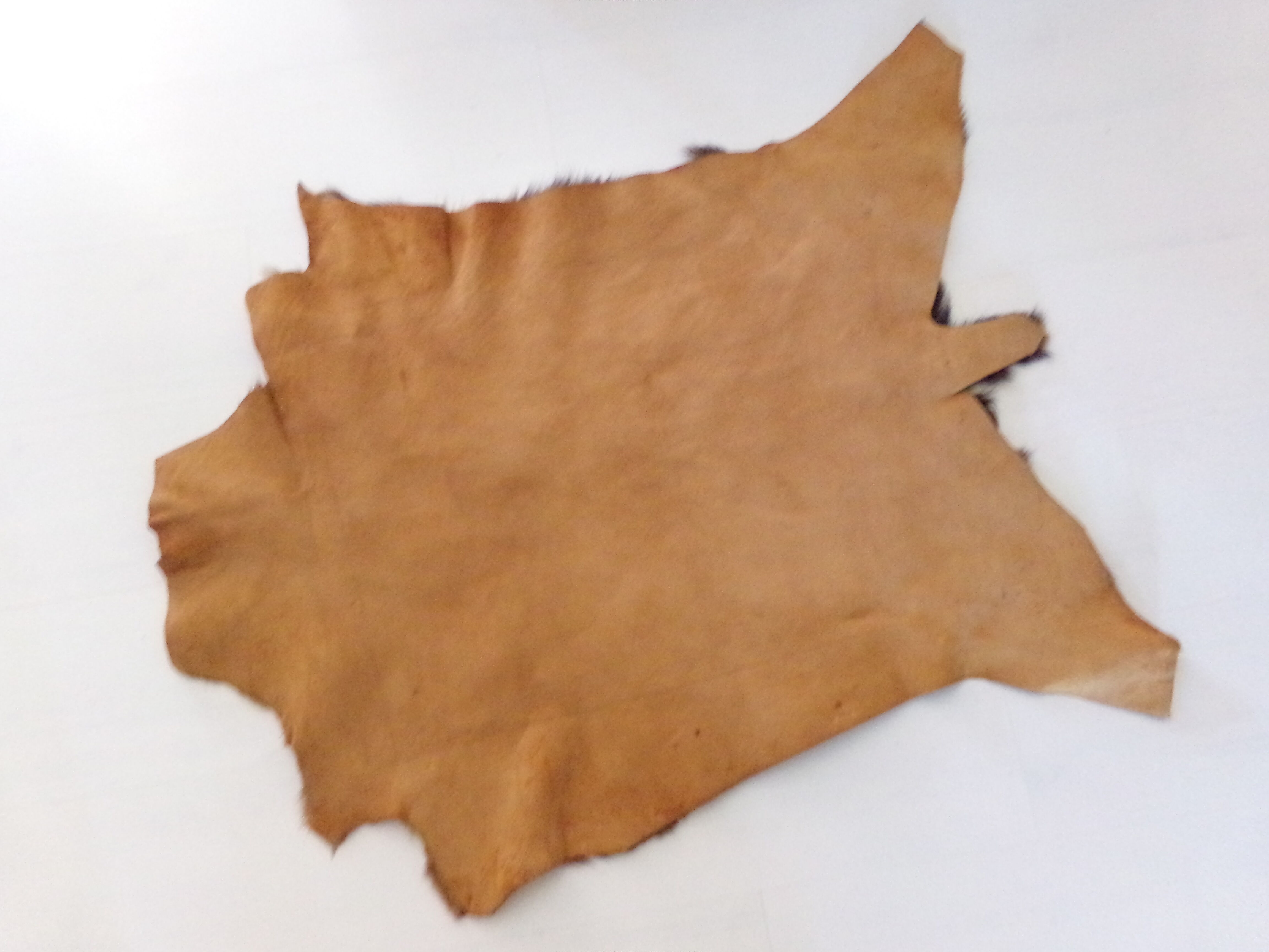 Real goat skin