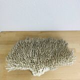 Old XL coral 51 cm