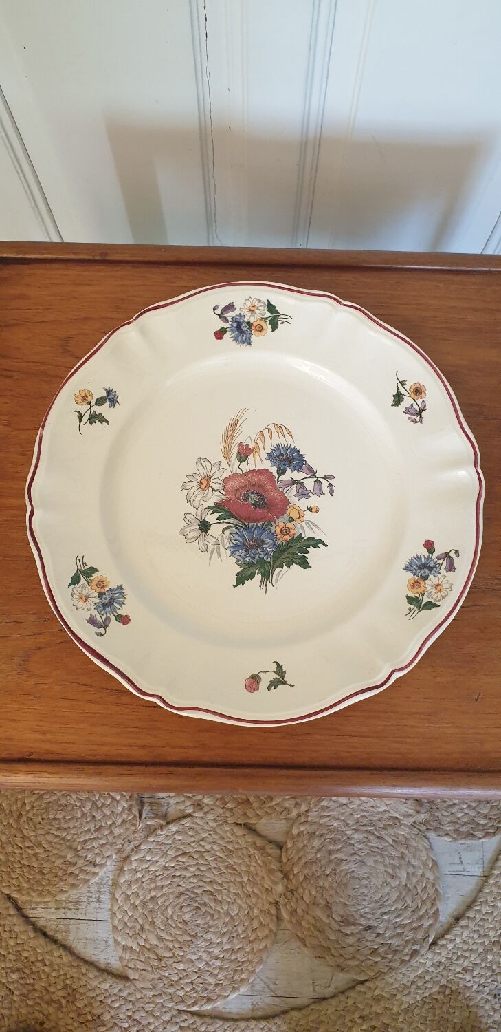 Dish Agreste Sarreguemines