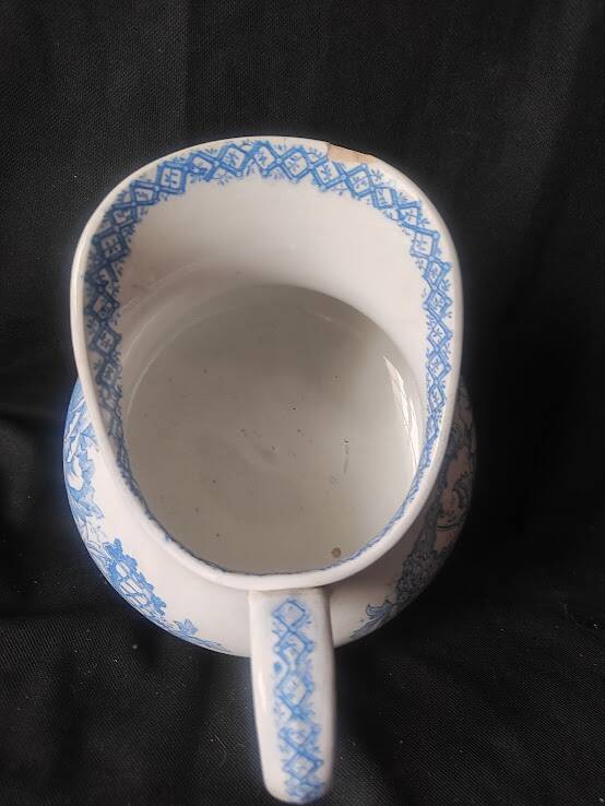 1880/1930 /Saint Amand /Hamage /Cactus /bowl /toilet jug
