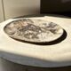 Very large pocket or dish in petrified wood
