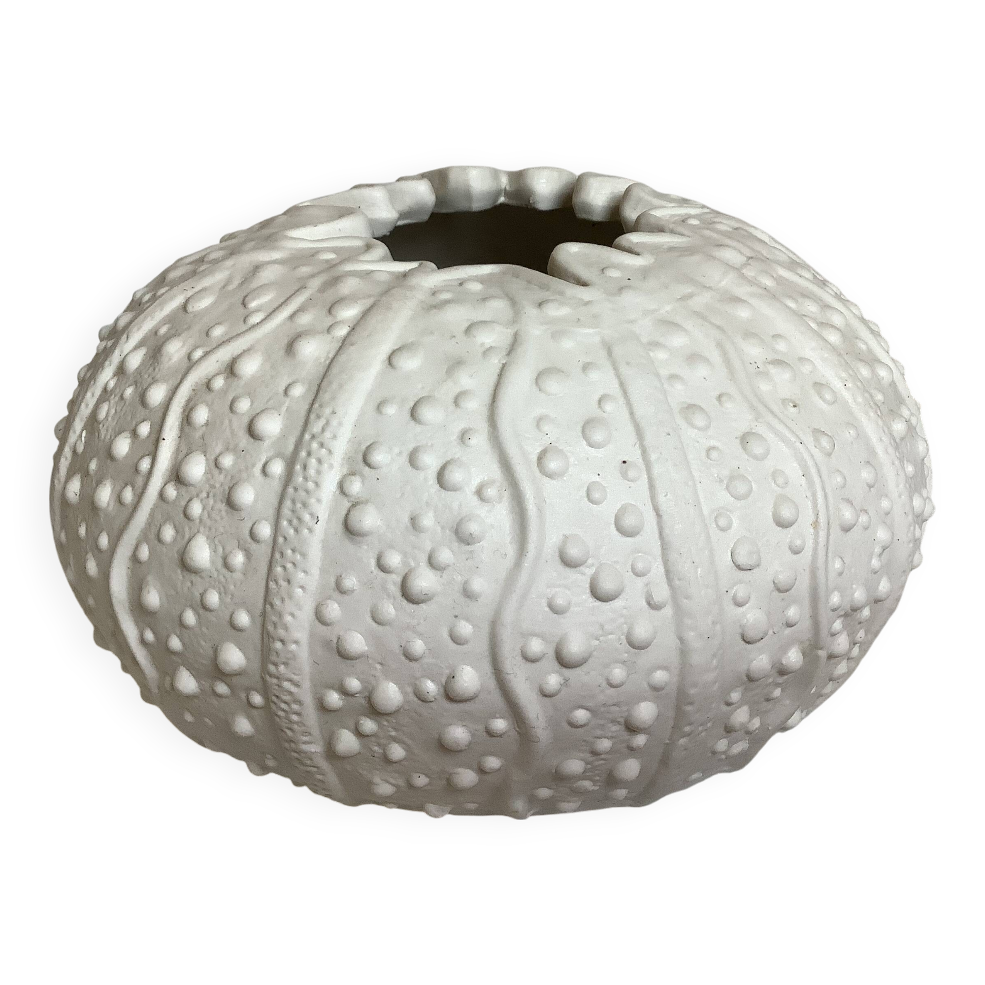 Vase en forme d oursin coquillage