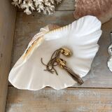 Scallop shell, natural shell catchall.