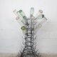 Hedgehog or bottle tree