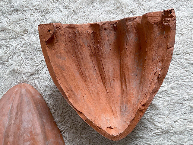 Pair of shell wall lamps