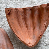 Pair of shell wall lamps