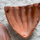 Pair of shell wall lamps