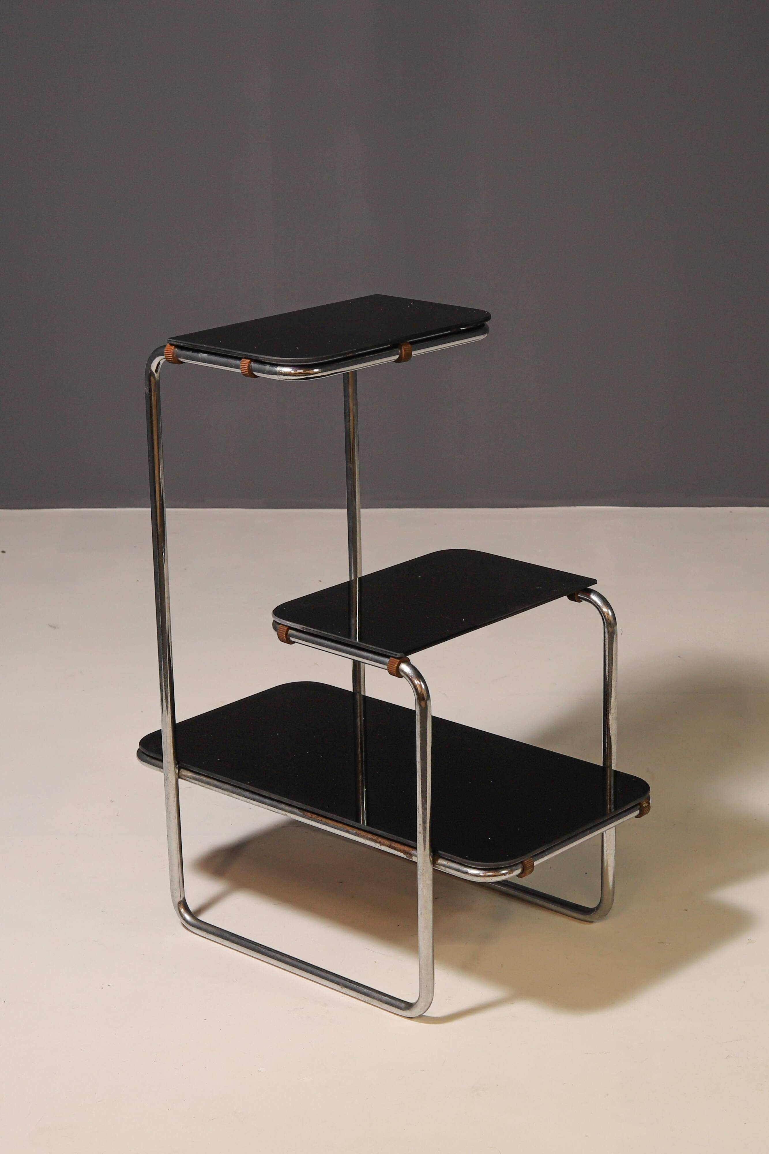 Functionalist Étagère B8 by Anton Lorenz for Slezák company, 1930s–1940s