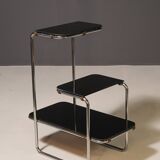 Functionalist Étagère B8 by Anton Lorenz for Slezák company, 1930s–1940s