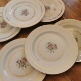 Flat plates L'Amandinoise 1055