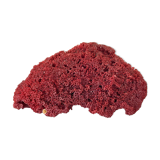 Red coral