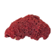 Red coral