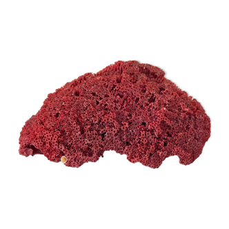 Red coral