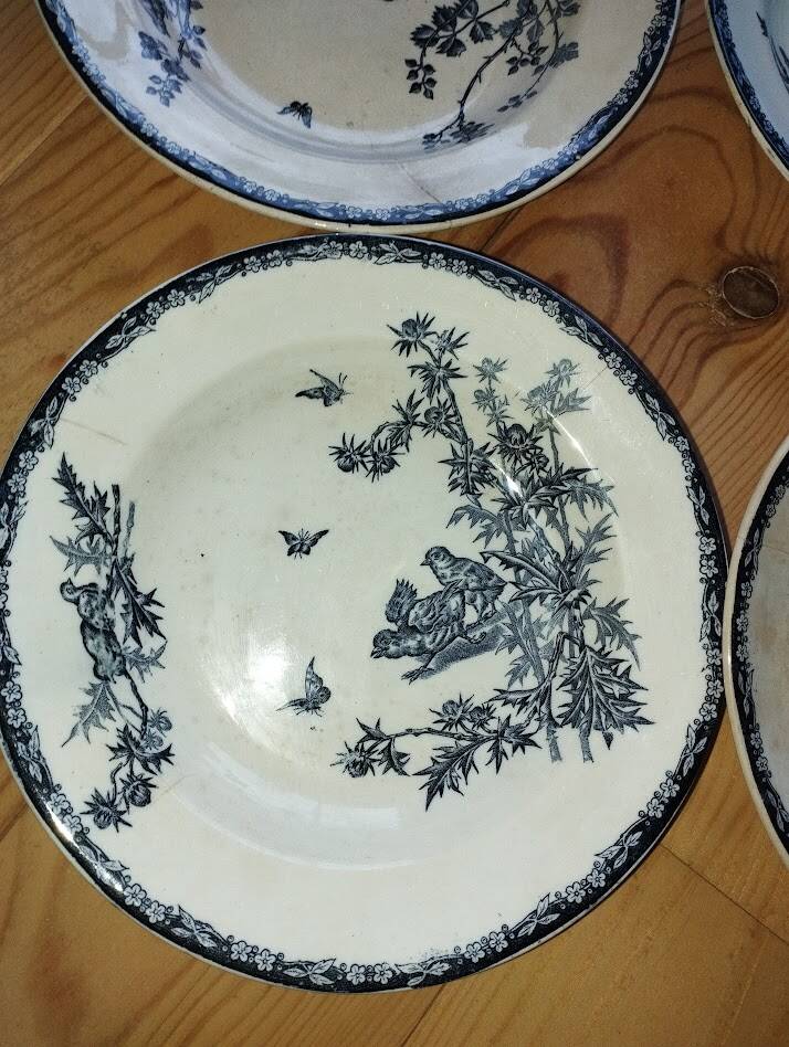 Flat Plates “Terre de Fer – The Chicks” (5 pieces)