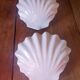 2 shell sconces