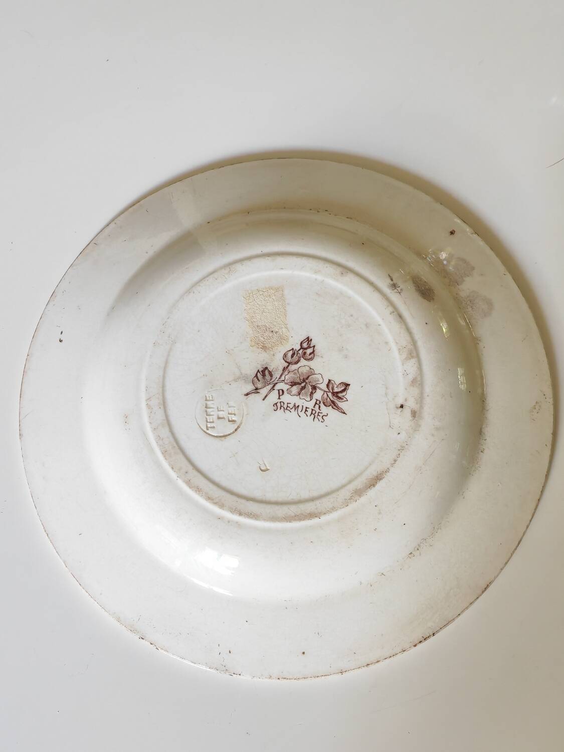 Old polychrome plate Trémières