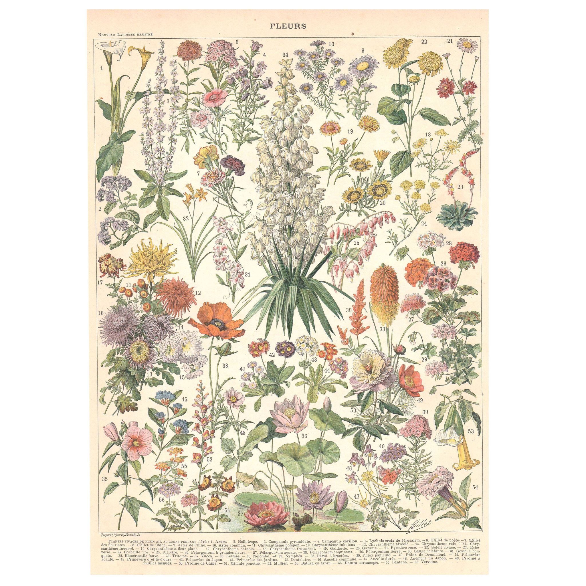 Old plate on flowers 1897