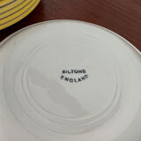 Dessert plates