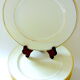 Twelve plates of Limoges porcelain tables