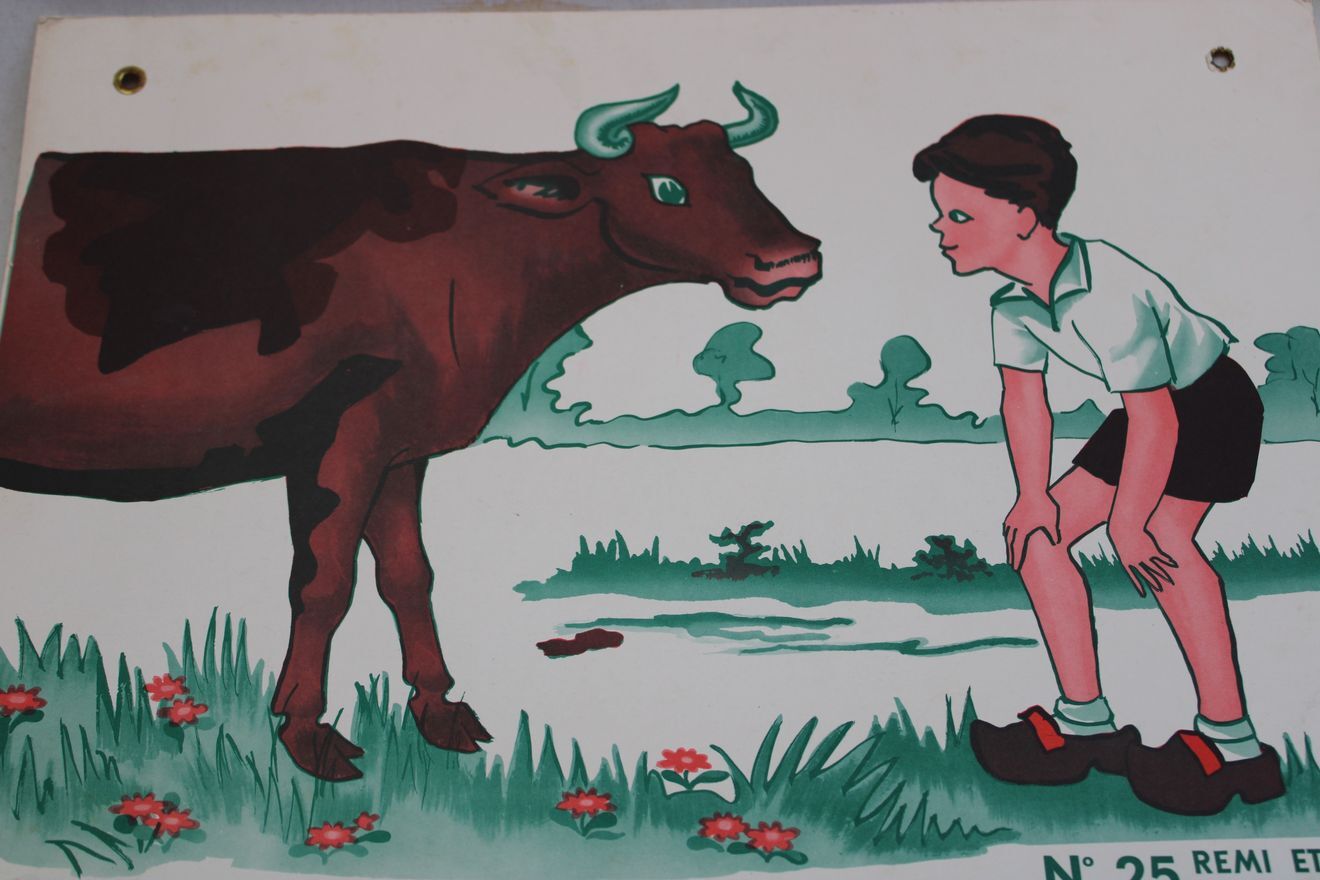 Affiche Rémi et Colette