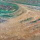 The path under the winter trees signed Maurice Bouillot 1946