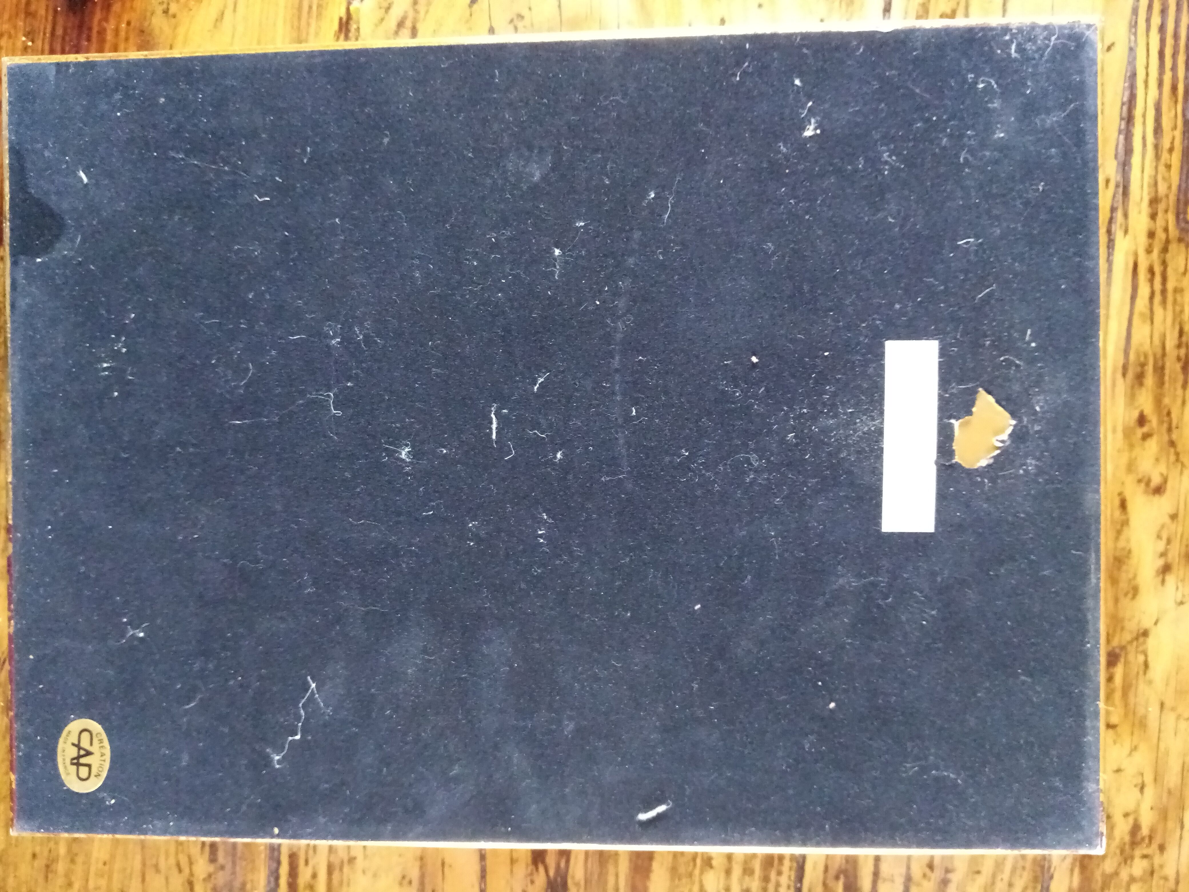 Butterfly with frame