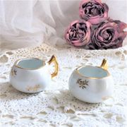 Pair of Luxury porcelain salt salers from France