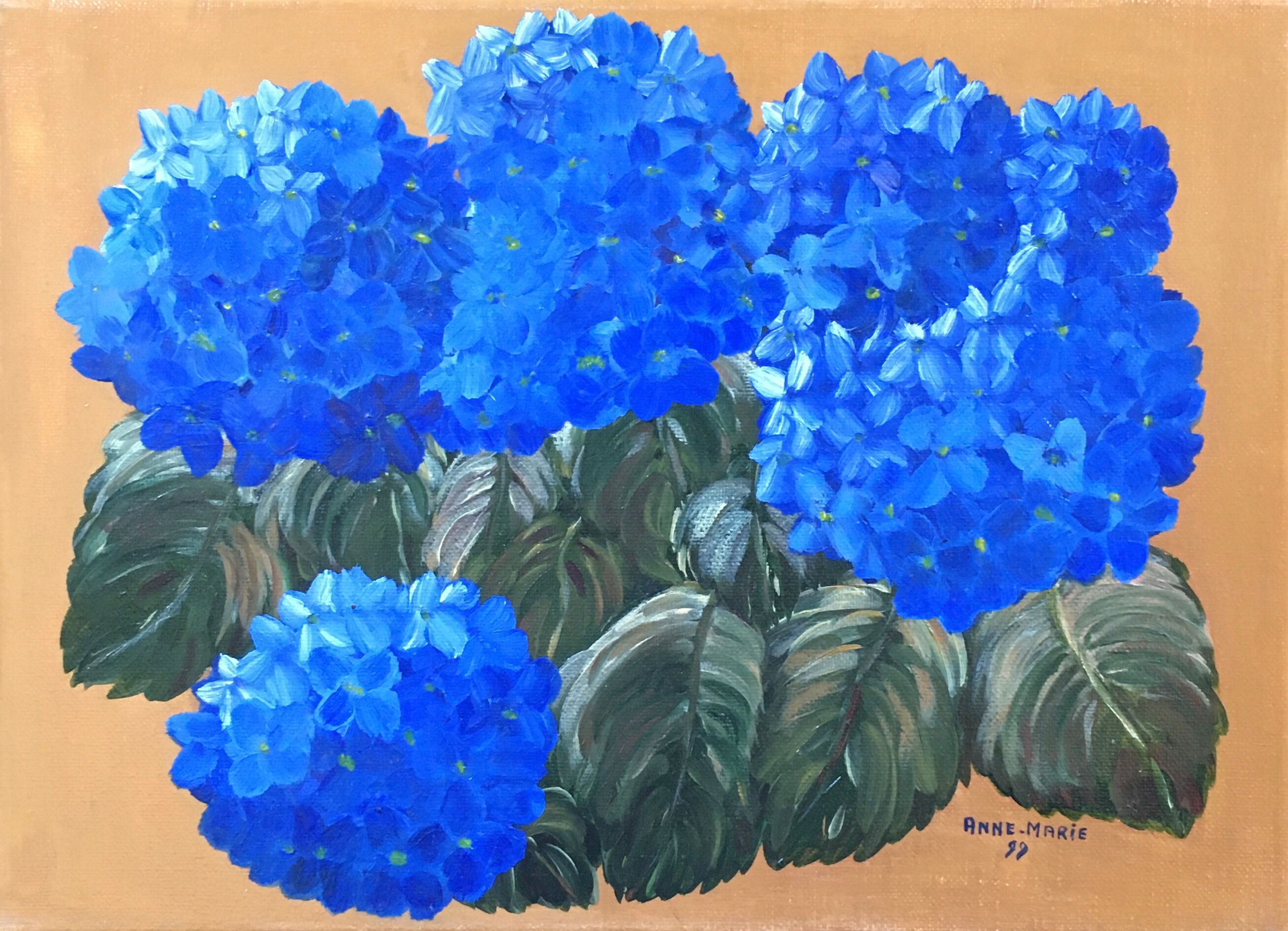 Table blue hydrangeas