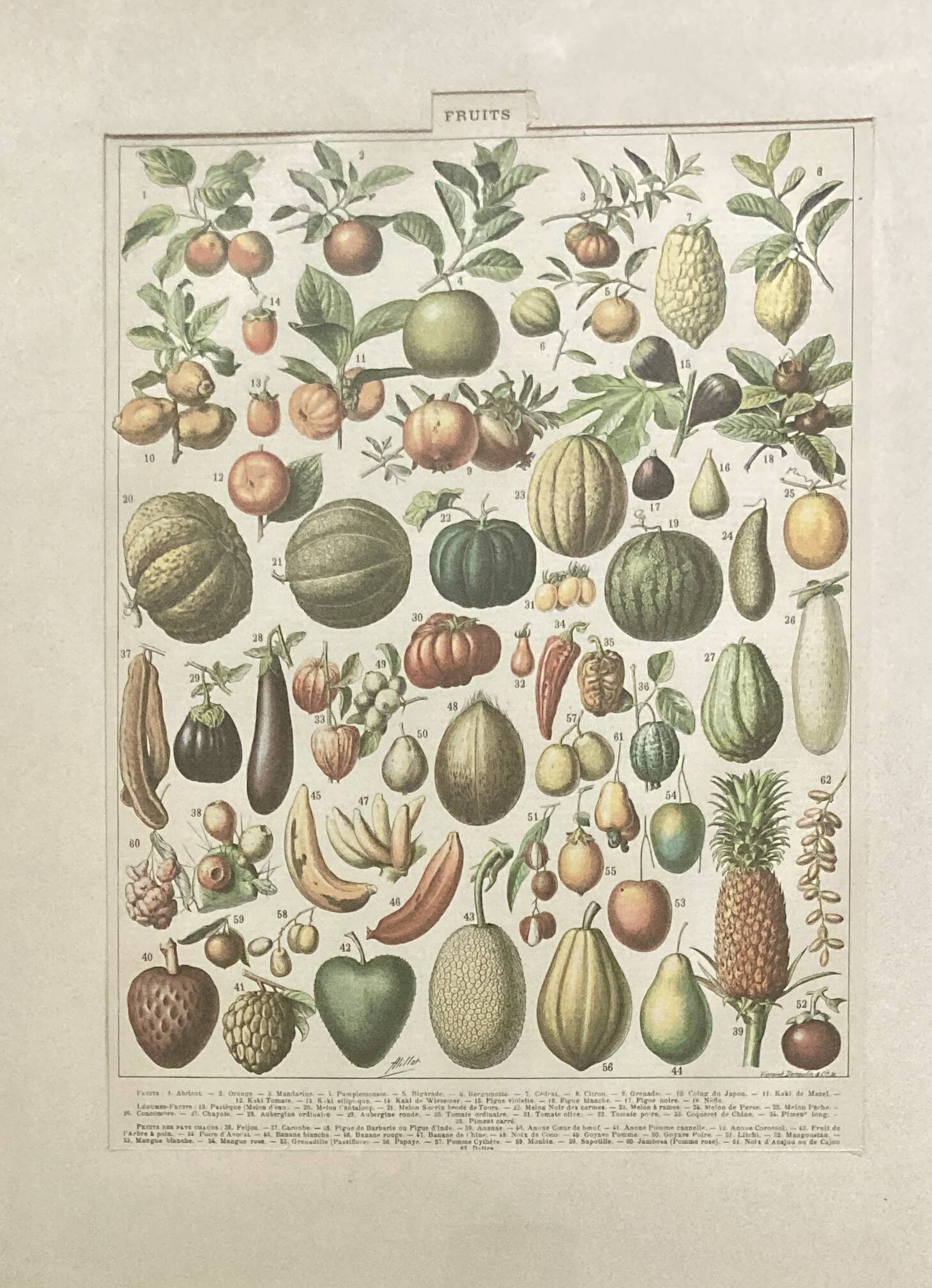 Golden frame - the Fruits - kitchen decor