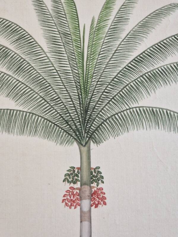 La Roche Laffitte (Born in 1943) - Watercolour drawing on silk - Palm tree