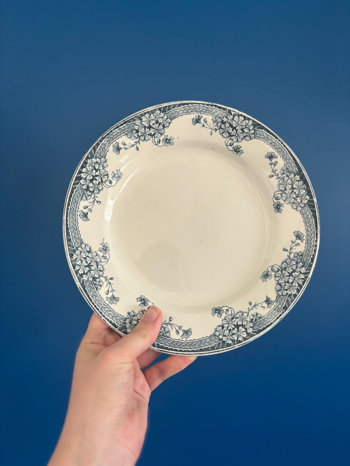 Set of 6 Saint-Amand Ironstone Plates Model Suzanne | Vaisse