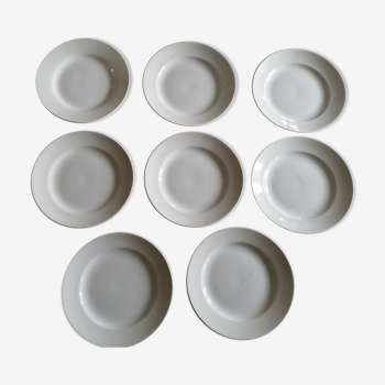 Lot of 8 flat plates in earthenware Sarreguemines Digoin