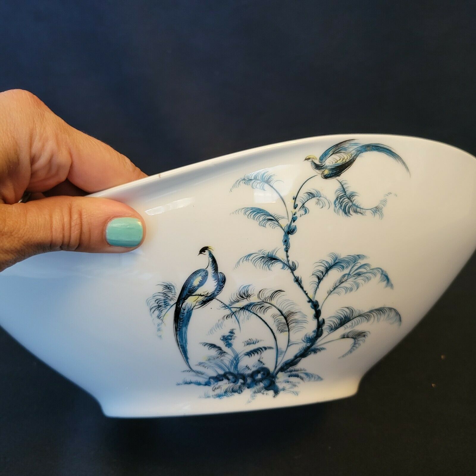 Vegetable soup kitchen Alfred Lanternier & Co Limoges blue peacock décor