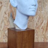 Bust of Nefertiti Louvre Museum Paris