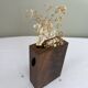 Minimalist design wooden vase
