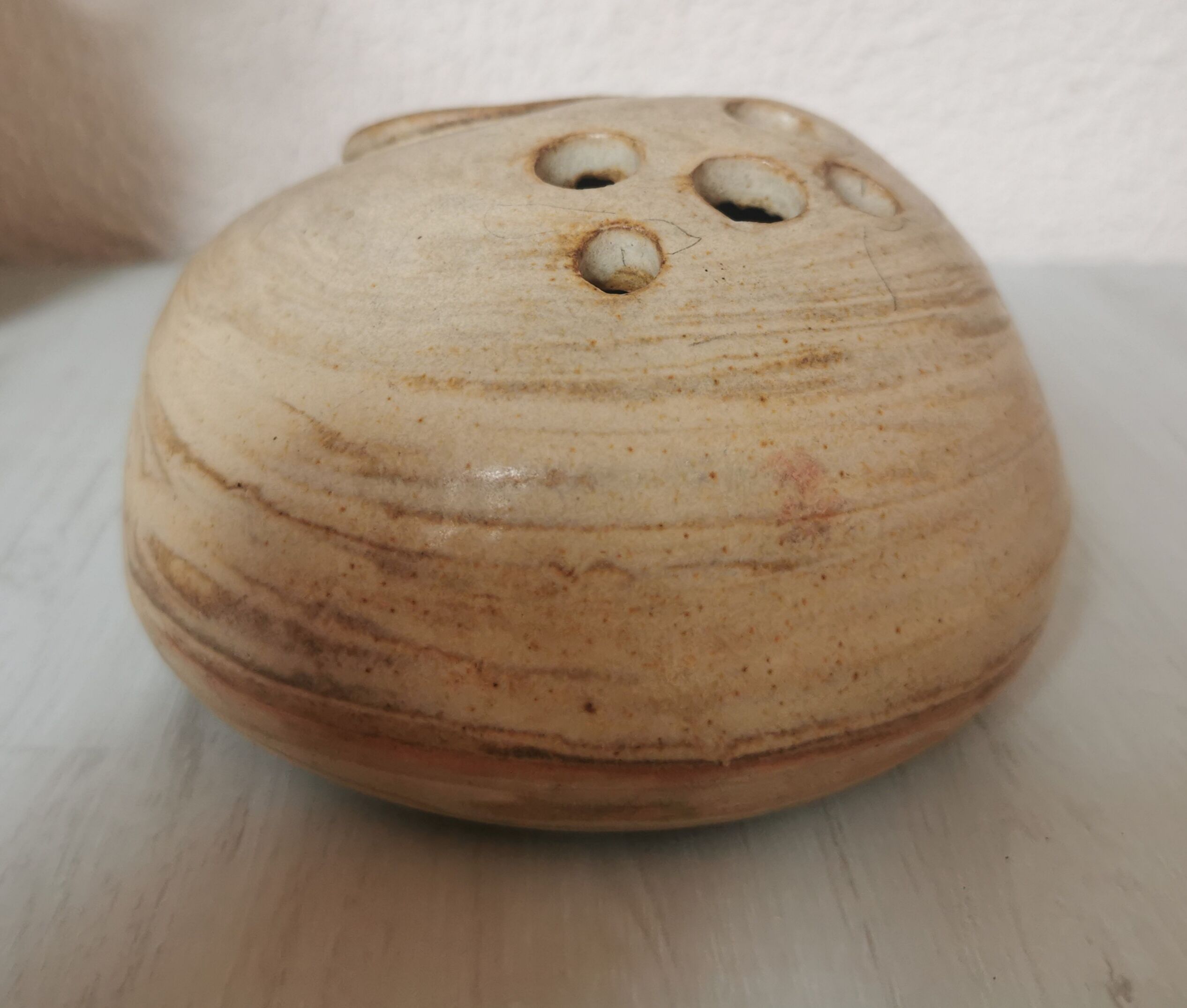 Pique flowers sandstone lizard