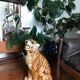 Tiger in earthenware