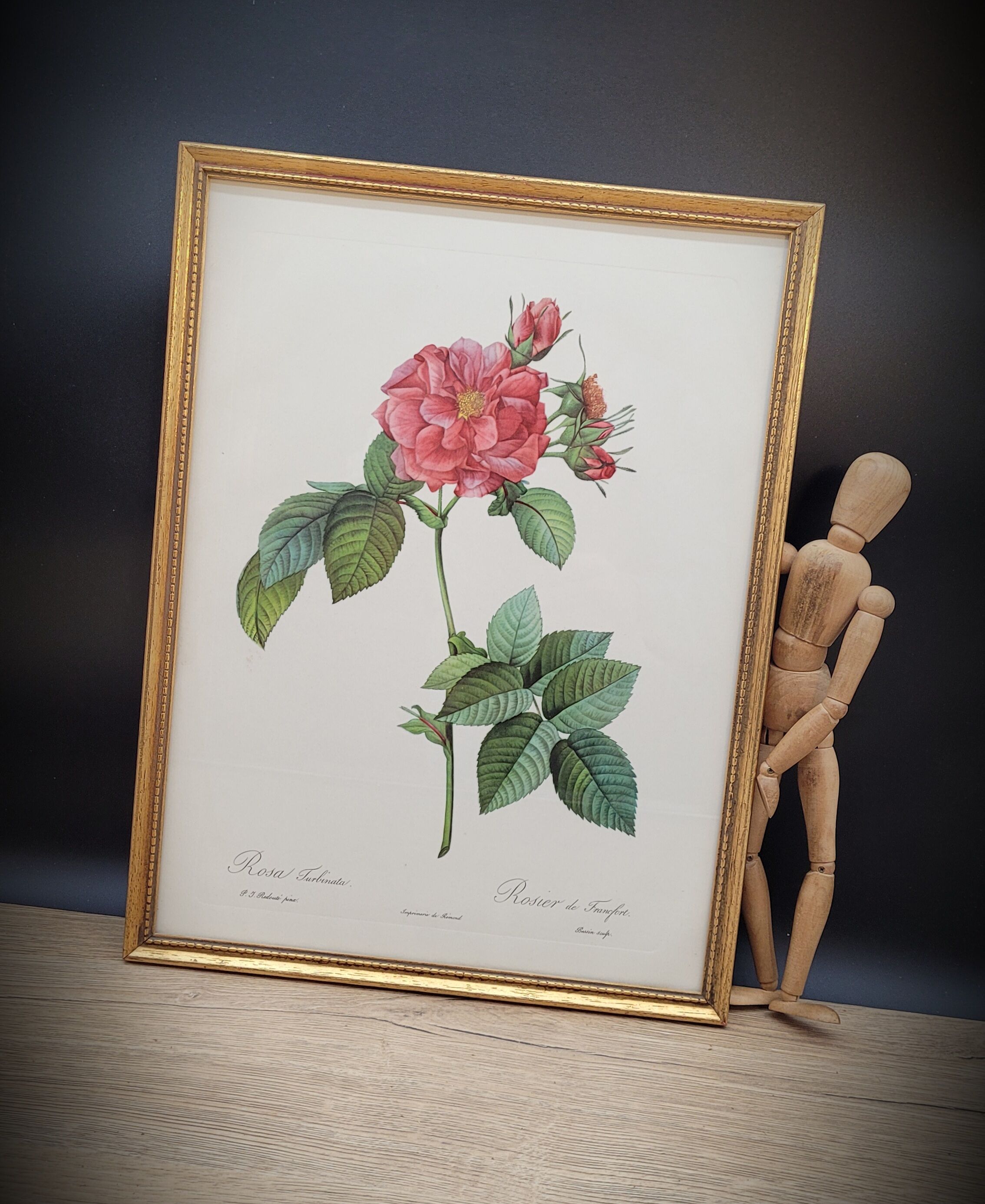 Lithograph Rosier Frankfurt