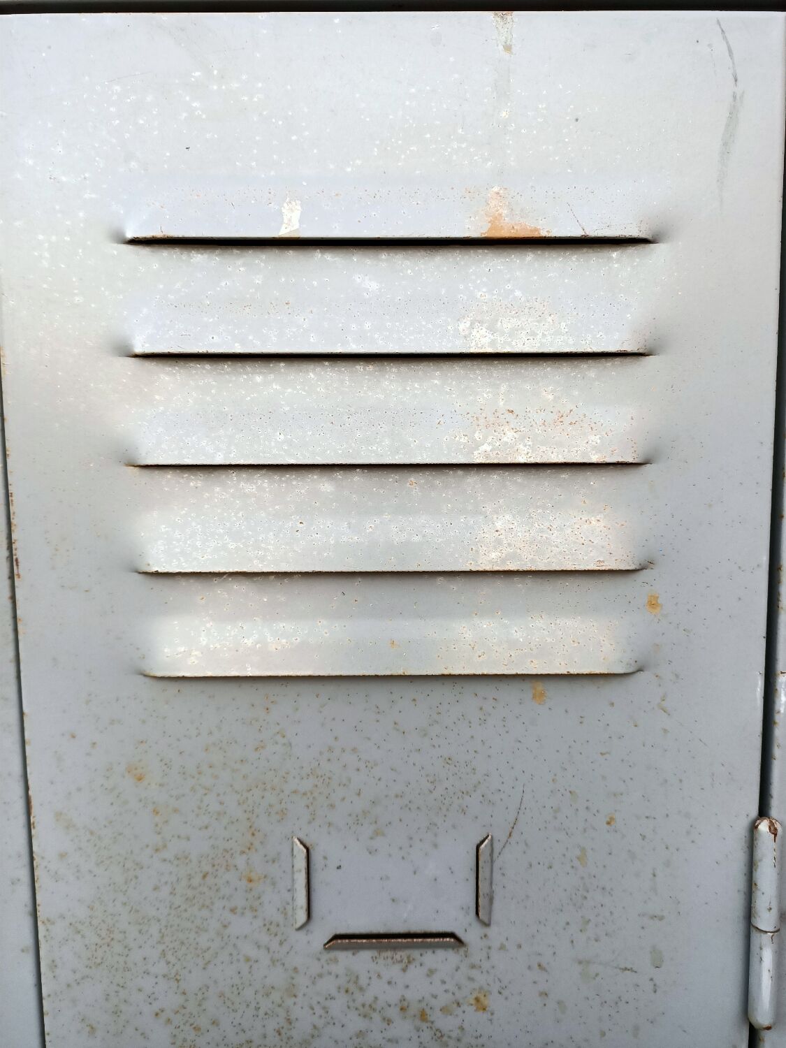 Metal cloakroom cabinet