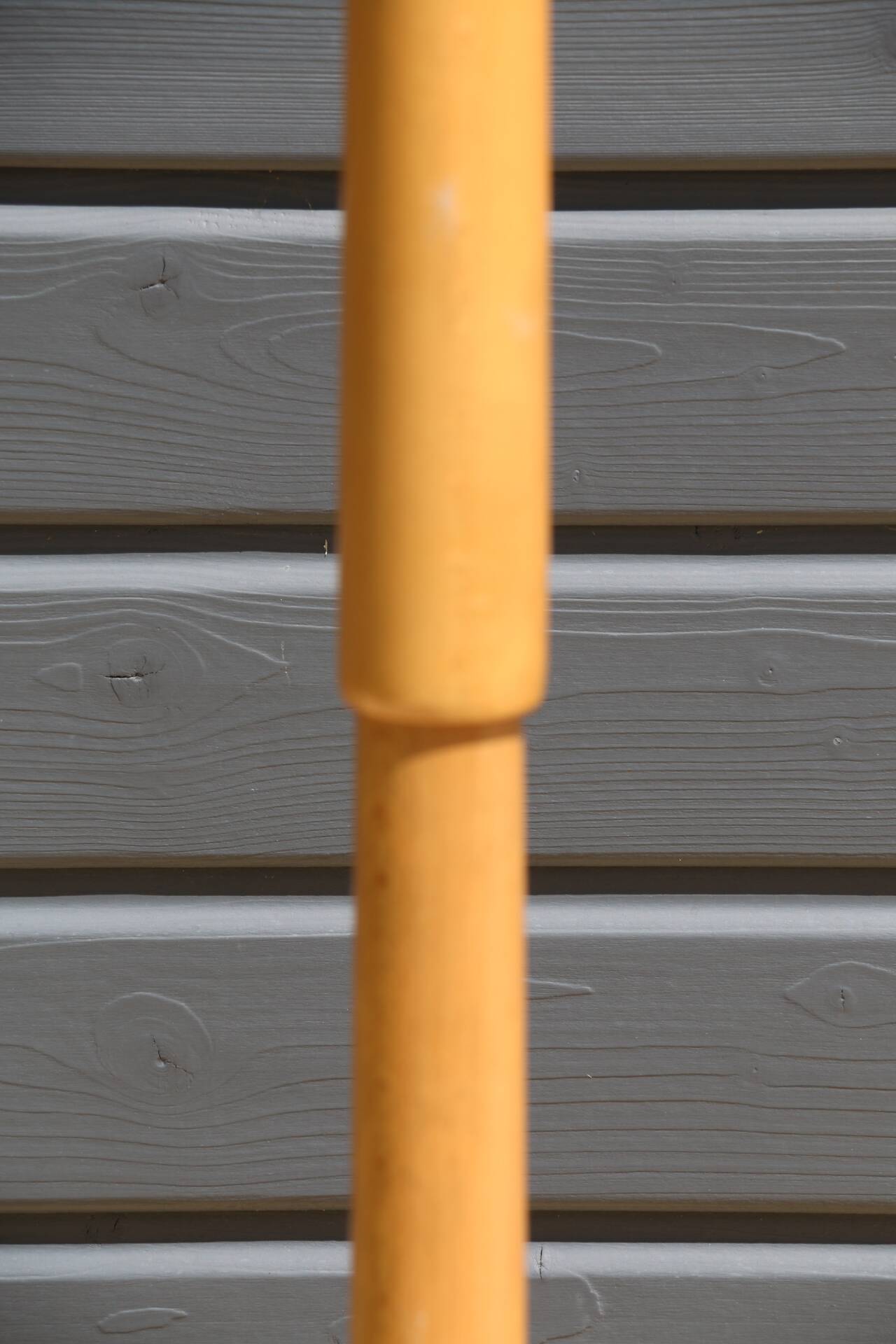 Coat rack parrot BAUMANN light beech (A2) original varnish