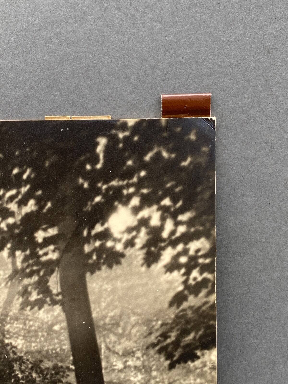 Film photograph by Bernard Darot, Morning in the Bois de Boulogne, Nantes Club