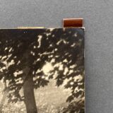 Film photograph by Bernard Darot, Morning in the Bois de Boulogne, Nantes Club