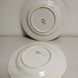 Collection of 5 plates in Faience, décor Strasbourg, Rouen .....