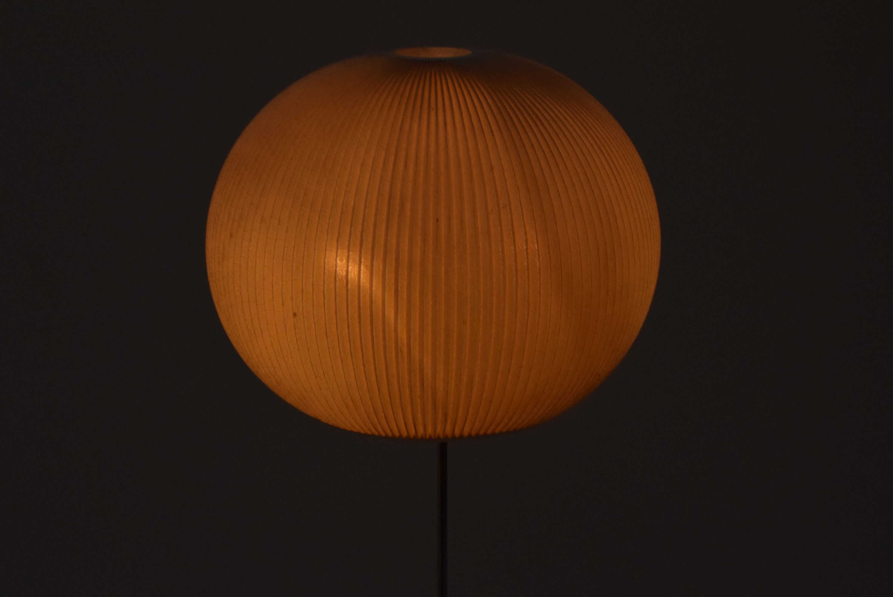 Mid-century German Floor Lamp,1960's.