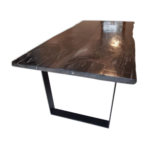 Table bois fossilisé